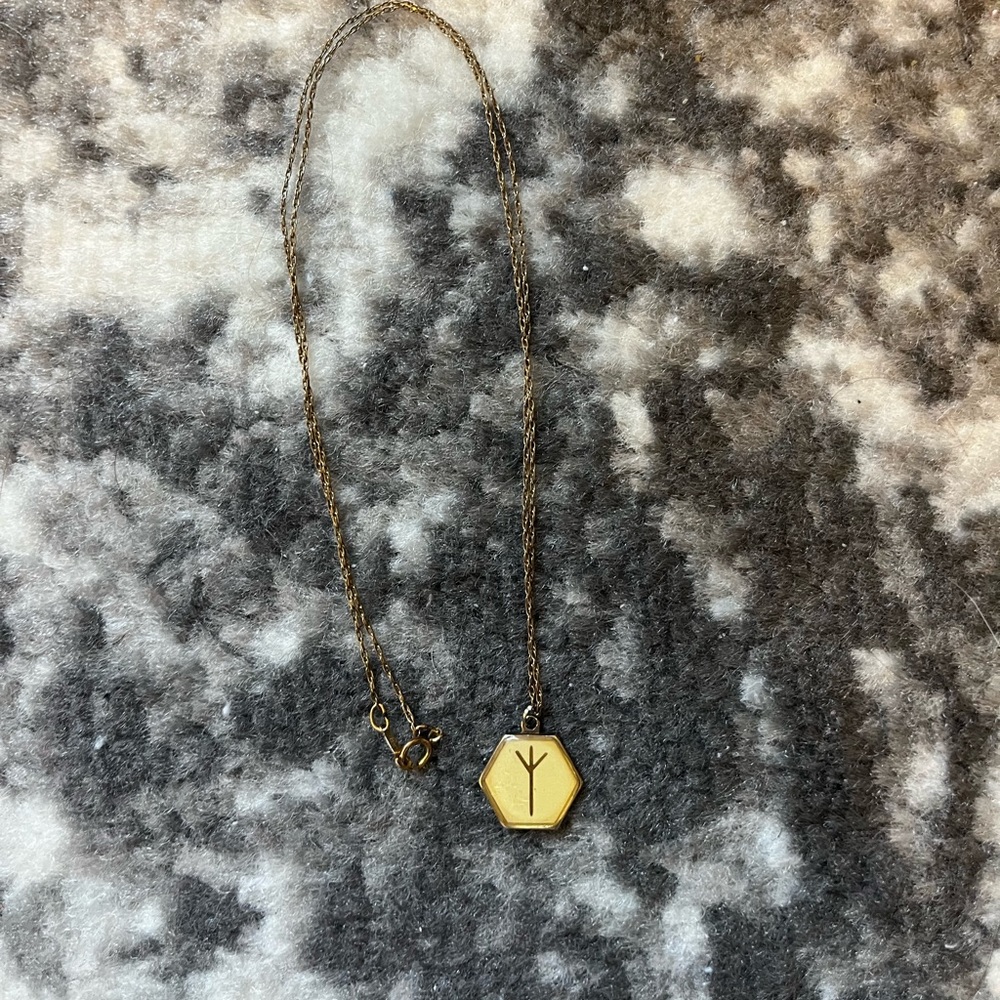 Alex and Ani Algiz Viking rune necklace